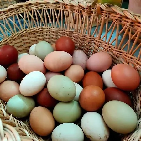 Séjour chez l'habitant Le Marais Des Littes *